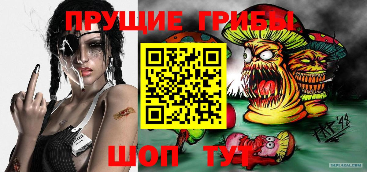 Нижнеудинск  цена   Вход с VPN  Галлюциногенные грибы MAGIC MUSHROOMS 